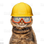 Its_Mercury's Avatar'