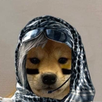 Sh4d0weQ_'s Avatar'
