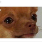 PuertoRicanThug's Avatar'