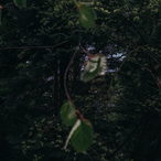 Brandon_psycho's Avatar