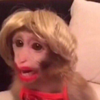 dimzid's Avatar'