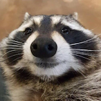 JunkoIoloIoIolo's Avatar'
