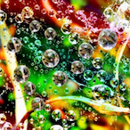 abbott._'s Avatar'