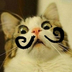 Mobsi.'s Avatar'