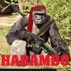 DrRamboMrSpike's Avatar'