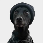 tuSH66's Avatar'