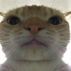 Brroken's Avatar'