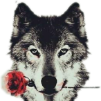 XxsnakewolfxX's Avatar'