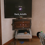 Duck_Stain's Avatar'