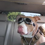 GrumpyGrampss's Avatar