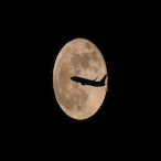 Hungry-Bears-'s Avatar'