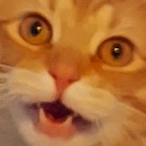 LaughTrackZak's Avatar'