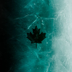Crazy_Rookoz's Avatar'