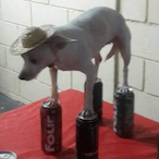 ReesersPiecers's Avatar'