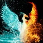 DannyScott7's Avatar'