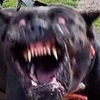 Cootchyman's Avatar'