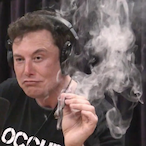 Sugarnooker's Avatar'