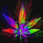 Himmy._Neutron's Avatar'