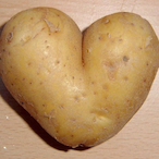 Cnx_Poitate's Avatar'