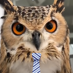 Mr.Owl22's Avatar'
