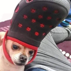 BungDeetle78's Avatar'