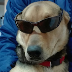 Aiarp_'s Avatar'