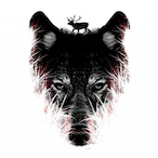 TheUnborne's Avatar'
