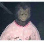 KillerAss4ssin's Avatar'