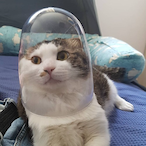 Sorry_Im_Angttu's Avatar'