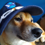 Rambit-shed's Avatar'