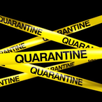 Sir_C3rona's Avatar'