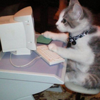 Funny.Cats's Avatar'