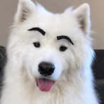 SmellmaBalls_'s Avatar'