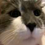 kluuu.'s Avatar'