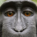 LEEEROY_JENKINZ's Avatar'