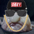 If100FeralHogs's Avatar'