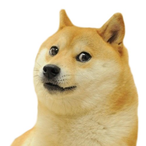TheRickyDoge's Avatar'