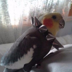 MisterGeekLive's Avatar