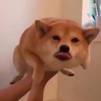 MitchellBoyy's Avatar'