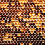 De_hive's Avatar'