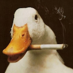 VPL.GGusik's Avatar'