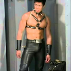 Dangen_master's Avatar'