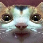 Raptor.LaG's Avatar'