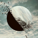Shadow_101D's Avatar'