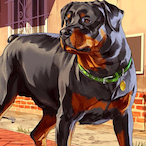 MDM1234345's Avatar'
