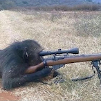 SniperMonkeee's Avatar'