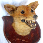 KP.Muwurderer's Avatar'