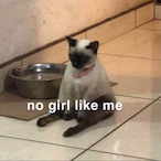 Not_Haakon_Btw's Avatar'