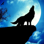 FarkyBat's Avatar'