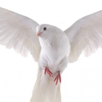 d4n406.GoG's Avatar'